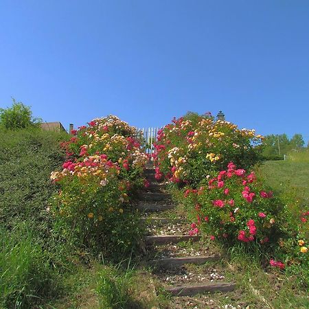 Bed and Breakfast Le Domaine Du Cerneau Nailhac Exterior foto