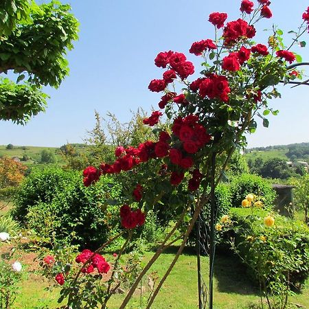 Bed and Breakfast Le Domaine Du Cerneau Nailhac Exterior foto