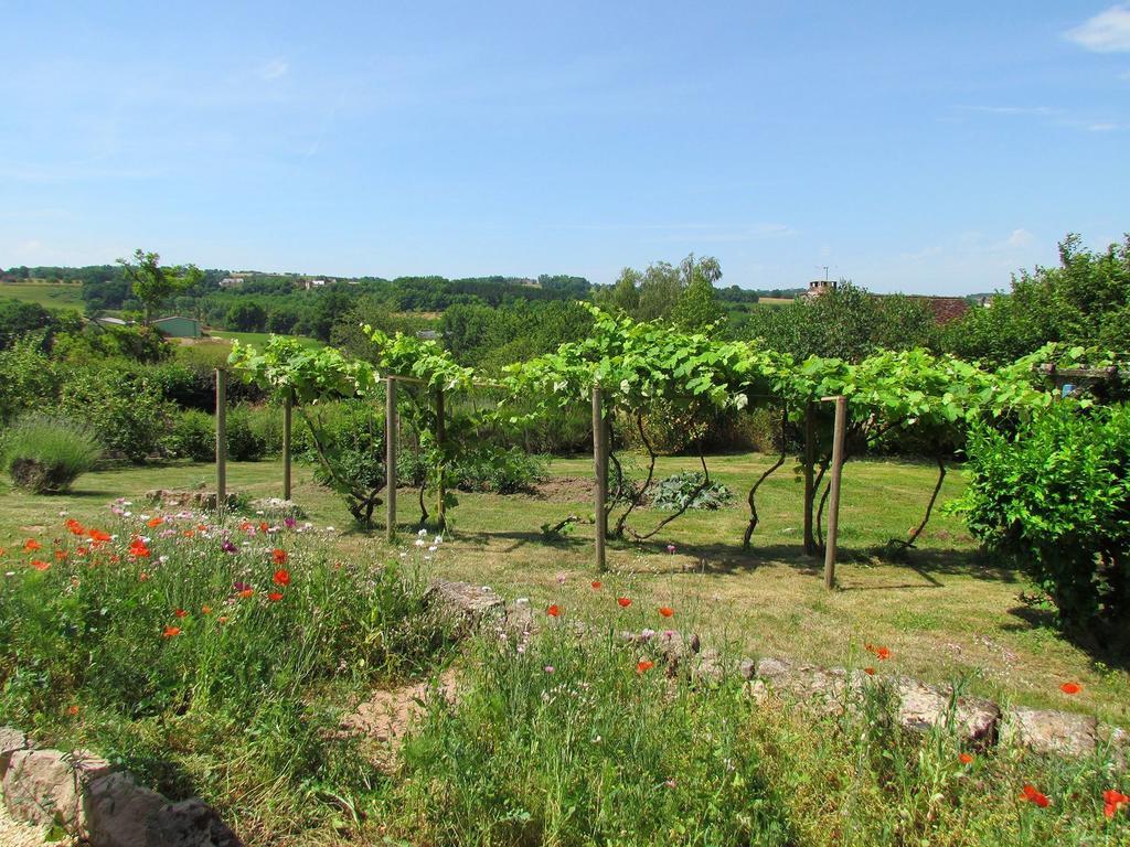 Bed and Breakfast Le Domaine Du Cerneau Nailhac Exterior foto