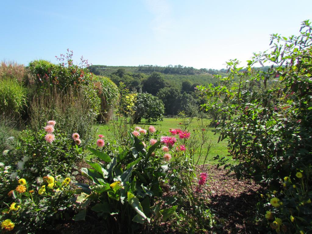 Bed and Breakfast Le Domaine Du Cerneau Nailhac Exterior foto